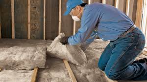 Best Insulation for New Construction  in Berrien Springs, MI