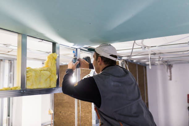 Best Garage Insulation  in Berrien Springs, MI