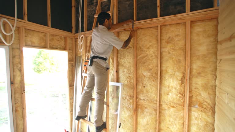 Best Spray Foam Insulation  in Berrien Springs, MI