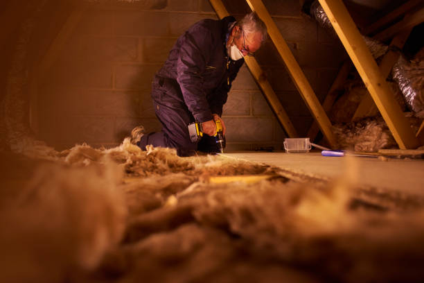 Best Crawl Space Insulation  in Berrien Springs, MI