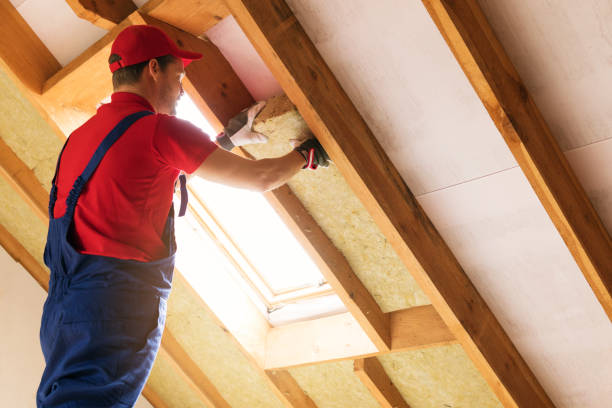 Best Eco-Friendly or Green Insulation Solutions  in Berrien Springs, MI